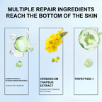 PHISYA Mullein Balancing & Revitalizing Serum – Skin-Renewal Elixir with Verbascum Thapsus, Peptides & Botanical Nutrients PHISYA