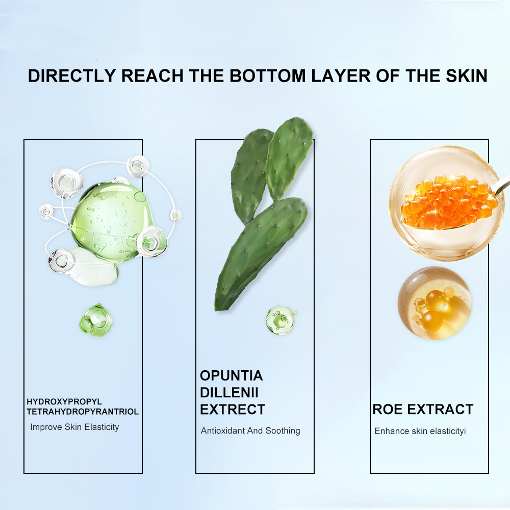 PHISYA Cactus Firming & Rejuvenating Cream – Deep Hydration Face Cream with Opuntia Cactus & Allantoin PHISYA